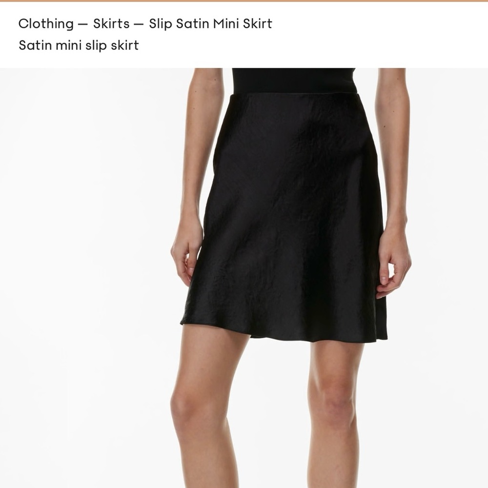Babaton Black skirt